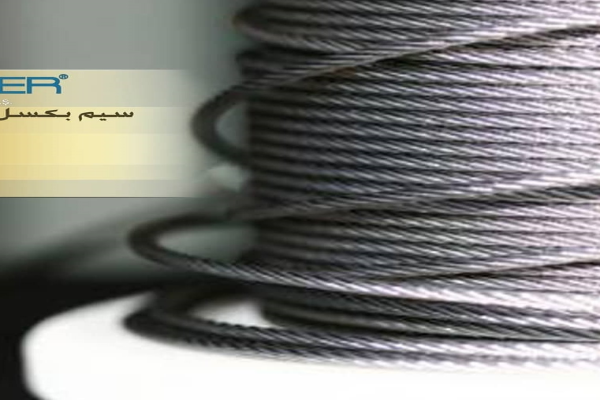  spanish-dinosaur-sensors-packaging-wire-ng-clamp--sensor